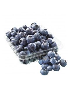 BLUEBERRIES 170g