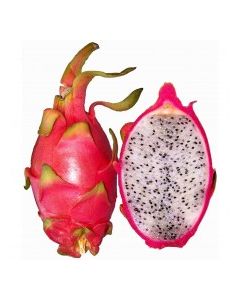 DRAGON FRUIT  vwt Approx. 0.5 Kg each

