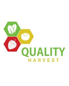 QUALITY HARVEST ROMAINE LETTUCE 1lb